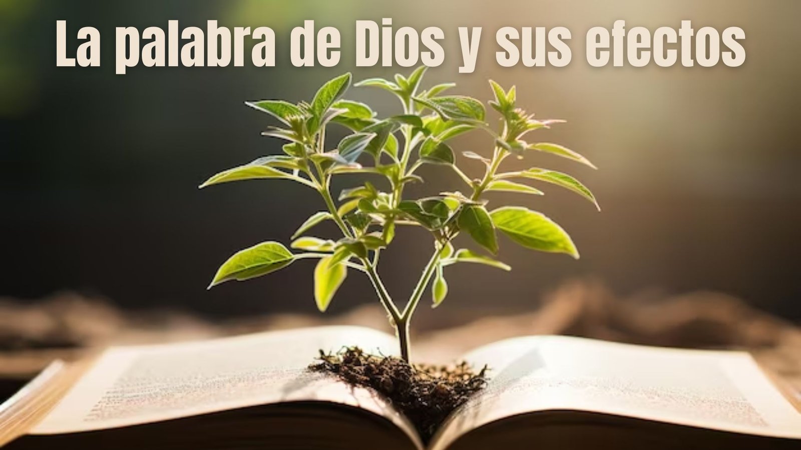 La Palabra de Dios y sus Efectos